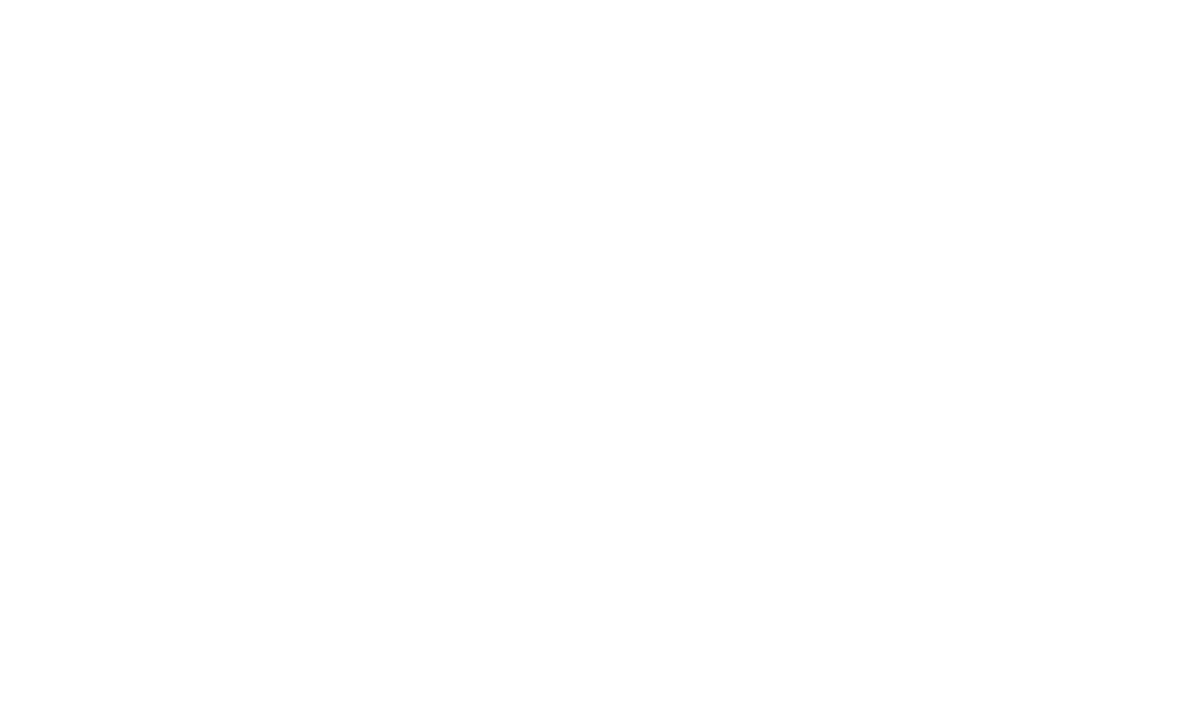 Wise Horizon Logo